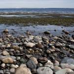 Helpers needed for all-island beach cleanup