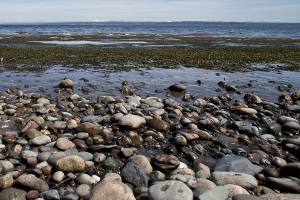Helpers needed for all-island beach cleanup