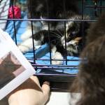 Kitty Hall on Bainbridge | Photo gallery