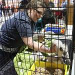 Kitty Hall on Bainbridge | Photo gallery