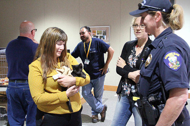 Kitty Hall on Bainbridge | Photo gallery