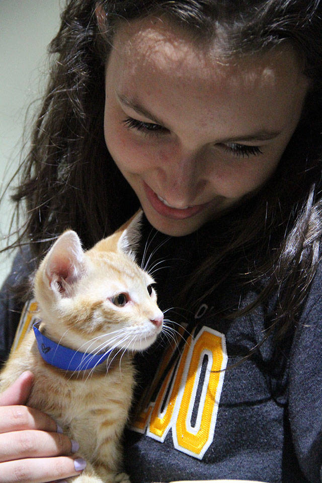 Kitty Hall on Bainbridge | Photo gallery