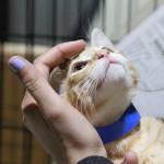 Kitty Hall on Bainbridge | Photo gallery