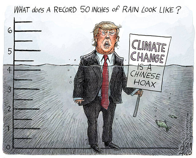 Trump’s 33rd week in office | In cartoons