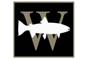 Bainbridge fish farm to be protested by Wild Fish Conservancy