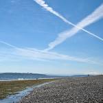 Help needed at Fort Ward Beach Cleanup