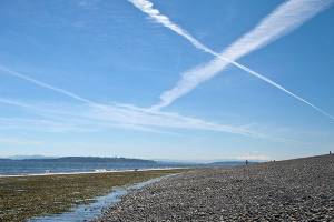 Help needed at Fort Ward Beach Cleanup