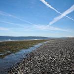 Help needed at Fort Ward Beach Cleanup