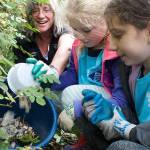 Annual cleanup day: Beaches benefit from benevolent Bainbridge volunteers