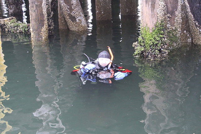 Islanders go deep to save sea life | Photo gallery