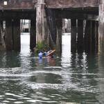 Islanders go deep to save sea life | Photo gallery