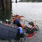 Islanders go deep to save sea life | Photo gallery