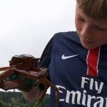 Islanders go deep to save sea life | Photo gallery