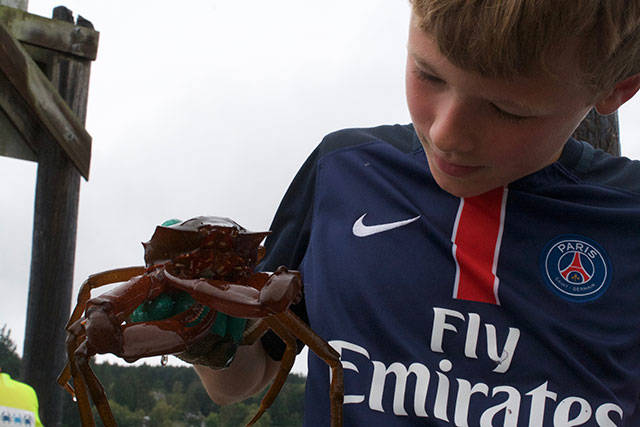 Islanders go deep to save sea life | Photo gallery