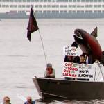 Flotilla protests Rich Passage fish pens