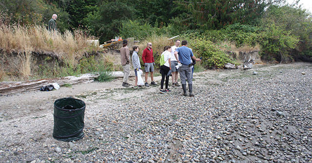 Annual Bainbridge beach cleanup day | Photo gallery