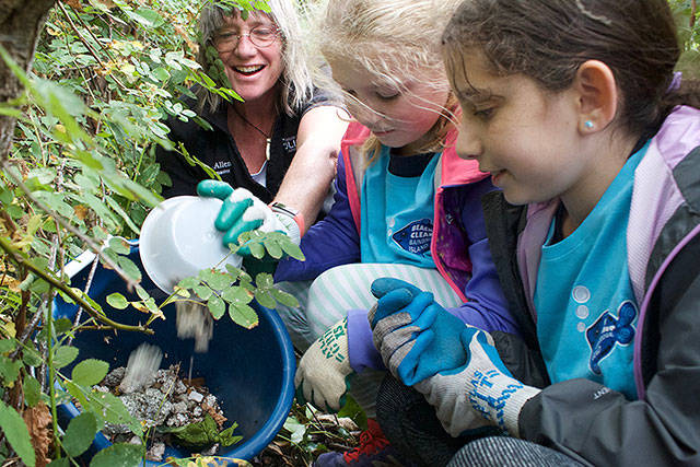 Annual Bainbridge beach cleanup day | Photo gallery