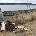 Annual Bainbridge beach cleanup day | Photo gallery