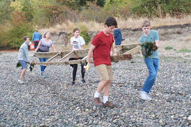 Annual Bainbridge beach cleanup day | Photo gallery