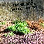 Edible Stem comes to the Bainbridge Public Library