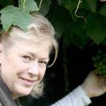 Kitsap Weekly preview | The Bainbridge Blab