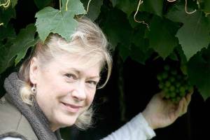 Kitsap Weekly preview | The Bainbridge Blab