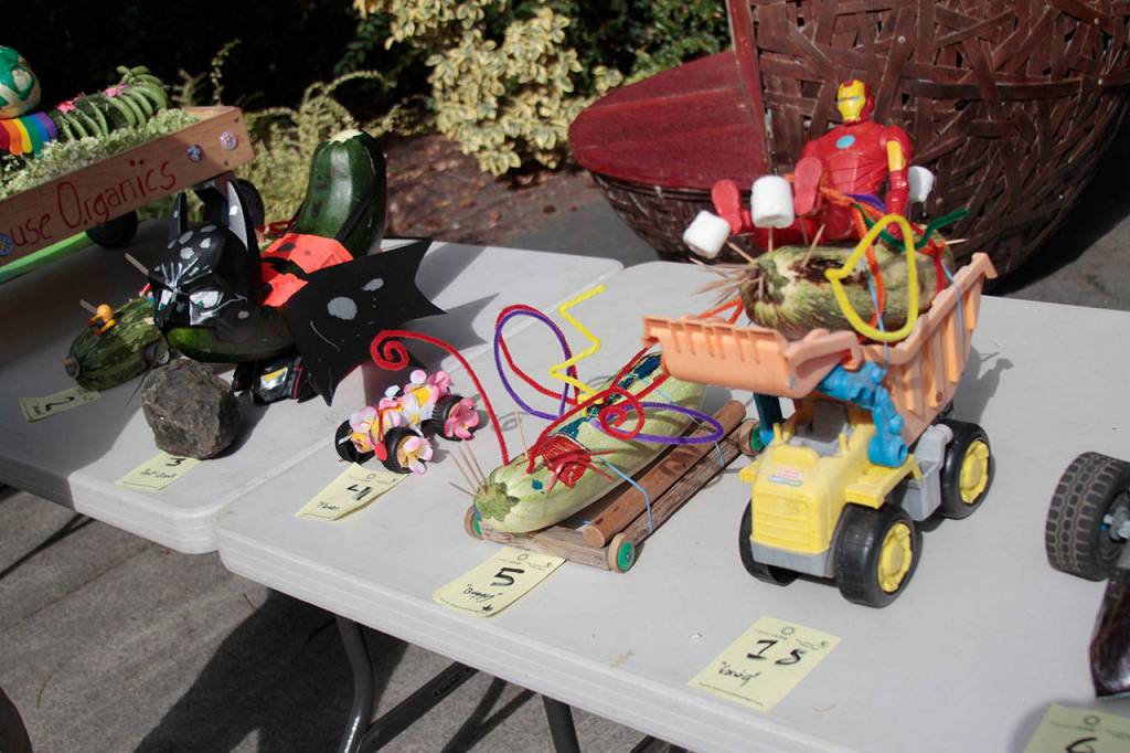 Off to the races: Farmers market hosts annual speedy zucchini contest | Photo Gallery