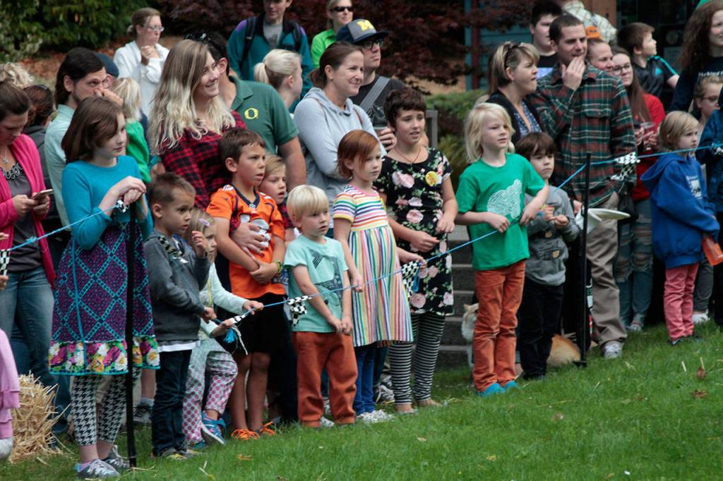 Off to the races: Farmers market hosts annual speedy zucchini contest | Photo Gallery