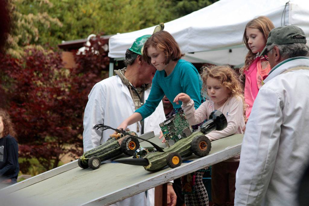 Off to the races: Farmers market hosts annual speedy zucchini contest | Photo Gallery