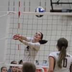 Spartans vs. Cougars | Photo gallery