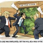 Trump’s 37th week in office | In cartoons