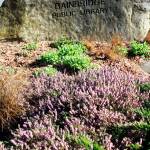 Preschool Storytime returns to the Bainbridge Public Library