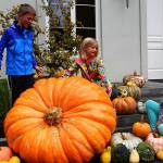 Squash scavenger hunt returns to Bloedel Reserve