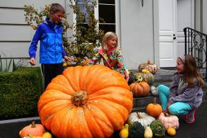 Squash scavenger hunt returns to Bloedel Reserve
