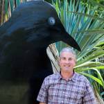 Crow expert speaks at next Kitsap Audubon meeting