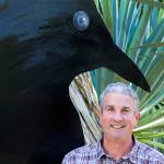 Crow expert speaks at next Kitsap Audubon meeting