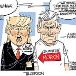 Trump’s 38th week in office | In cartoons