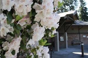 Young writers meet Tuesday at the library