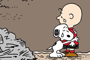 Today’s cartoon for Tuesday, Oct. 17