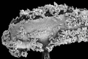 Author visits Winslow bookstore for lecture, book signing