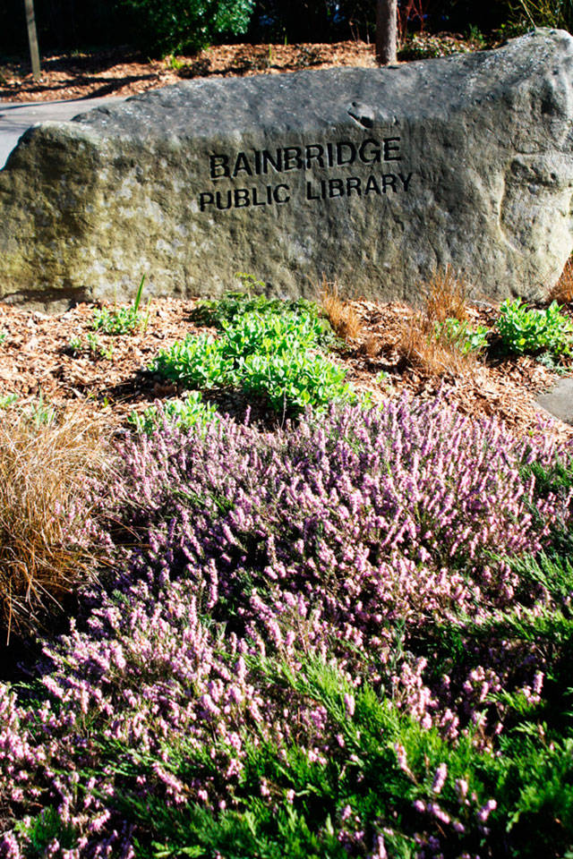 Trick-or-Treat Storytime at the library