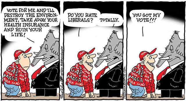 Trump’s 40th week in office | In cartoons