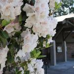 It’s storytime at the Bainbridge Public Library