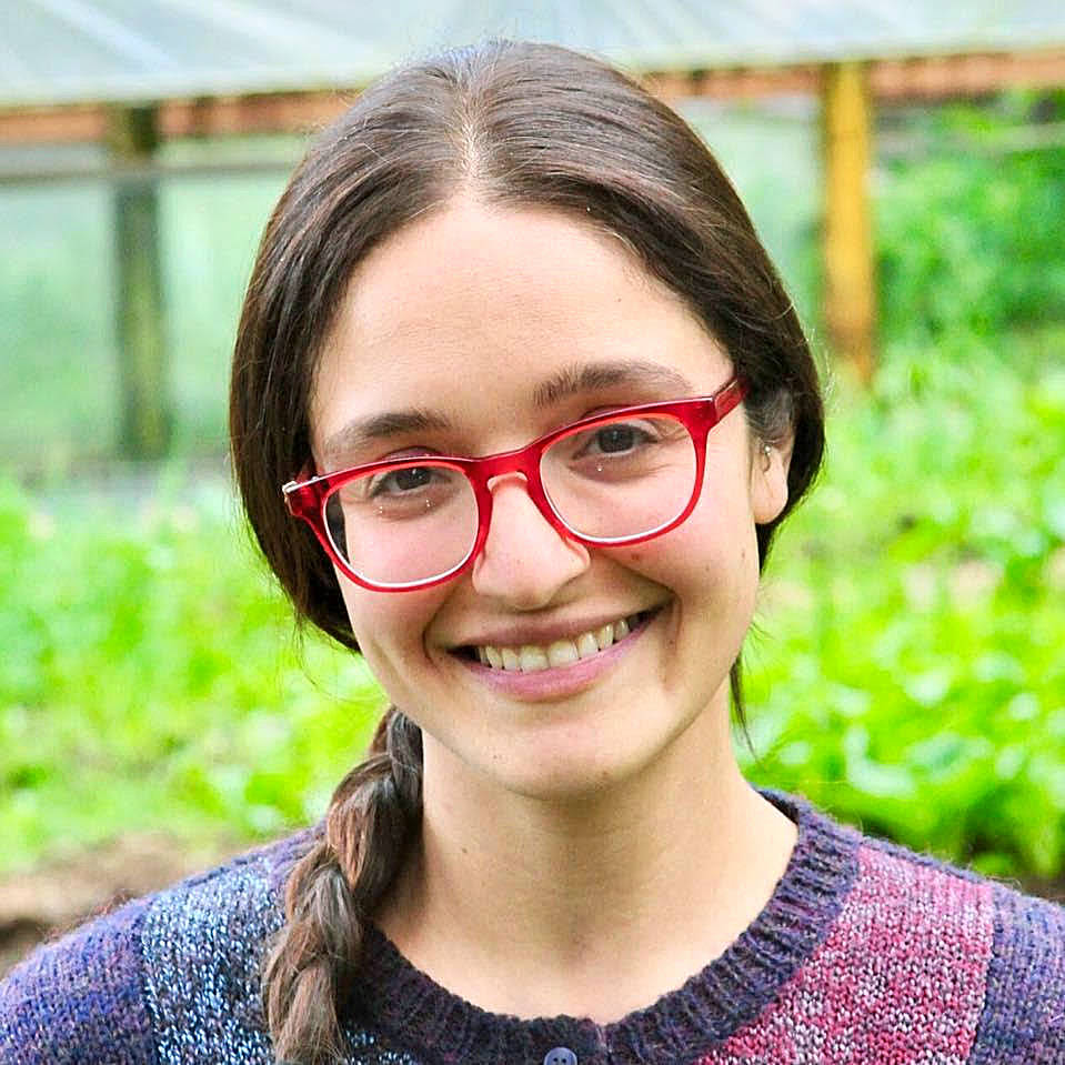 Central Ward race splits on spending