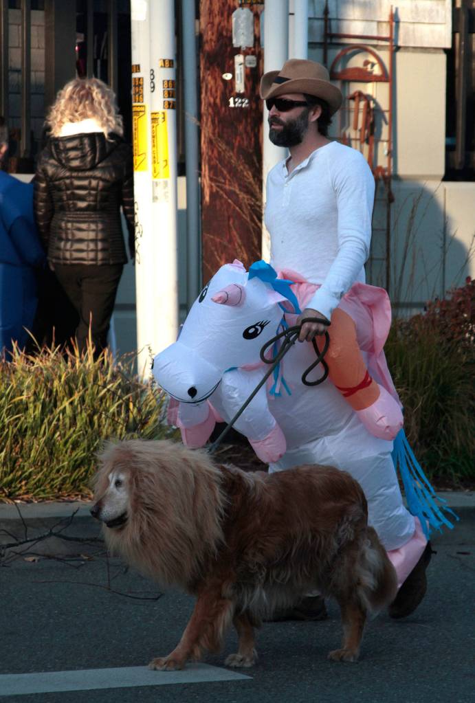 Sweet sights, delicious displays: Halloween returns to Winslow | Photo gallery