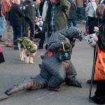 Sweet sights, delicious displays: Halloween returns to Winslow | Photo gallery
