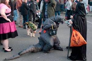 Sweet sights, delicious displays: Halloween returns to Winslow | Photo gallery