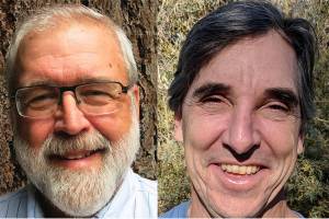 Pollock leads in race for parks board position