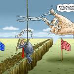 Trump’s 42nd week in office | In cartoons