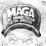 Trump’s 42nd week in office | In cartoons